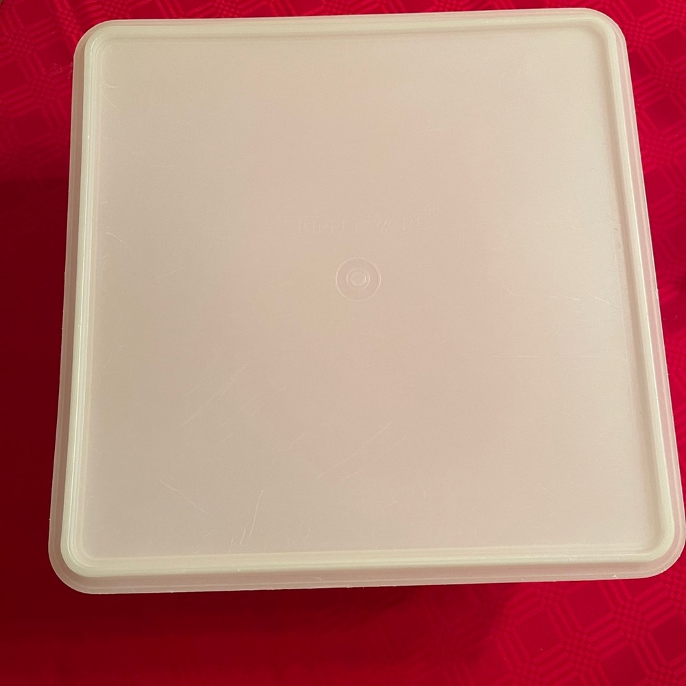 Vintage Tupperware Clear Container 12x12